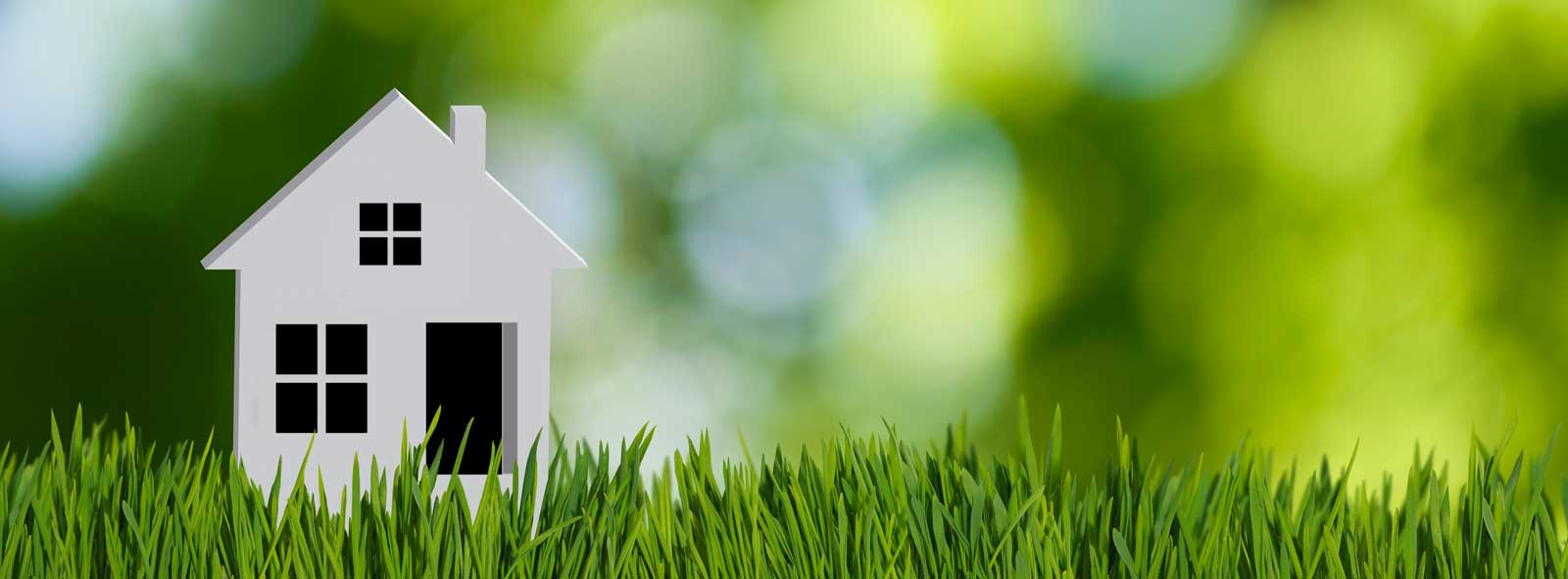 grass-house.jpg